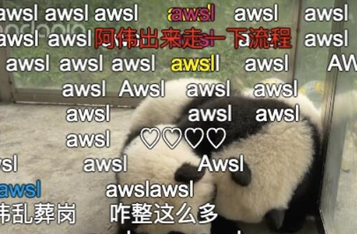 awslʲô˼W(wng)j(lu)ZB-2