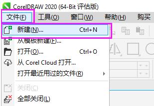 CorelDRAW2020(chung)ęnN