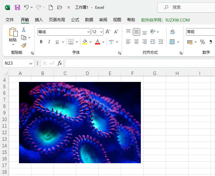 Excel2021ܛôһ׃ɫDƬ